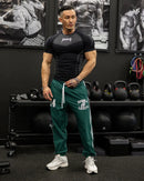 Camiseta masculina de manga curta – modelo 2025 para primavera e outono, estilo fitness, de secagem rápida, respirável, elástica e com ajuste justo ao corpo.